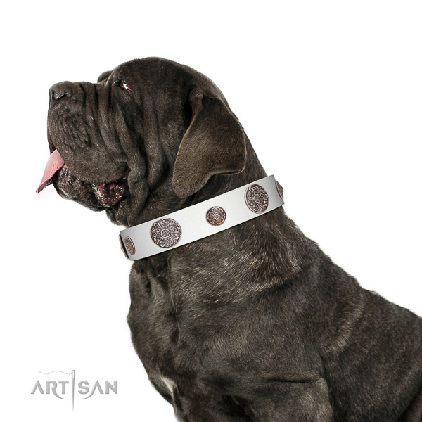 Extraordinary walking white leather Mastino Neapolitano collar with chic decorations