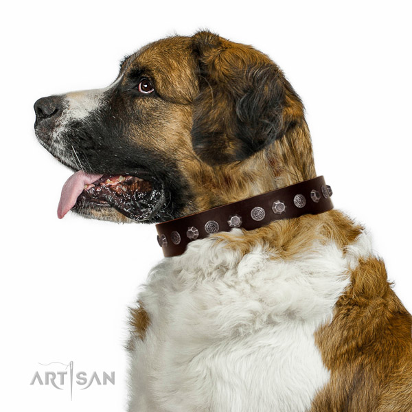 Walking top-notch quality walking leather Moscow Watchdog collar