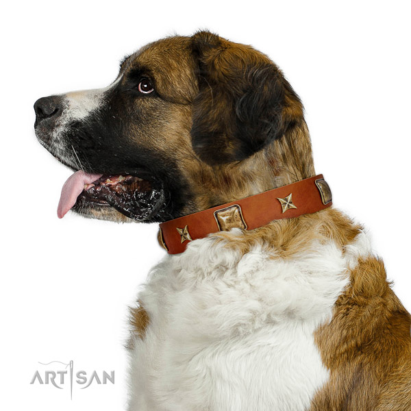 Wonderful Artisan leather Moscow Watchdog collar for better control