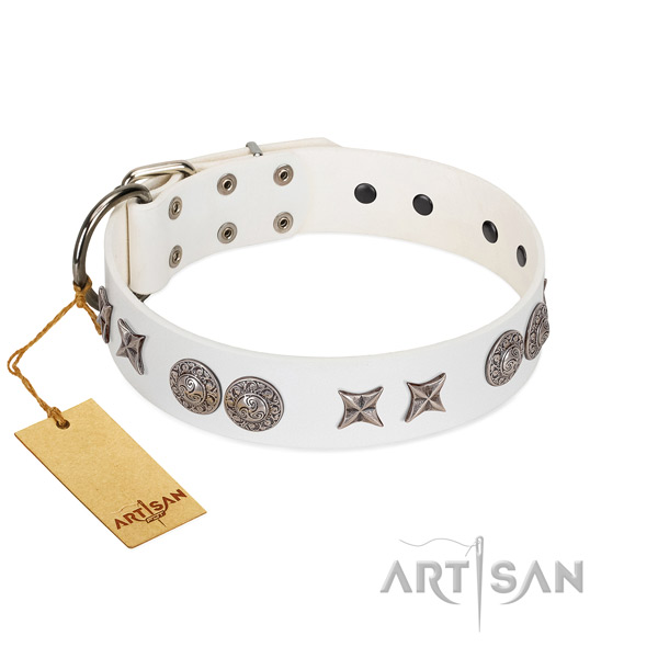 Decorated black leather dog collar for everyday activities