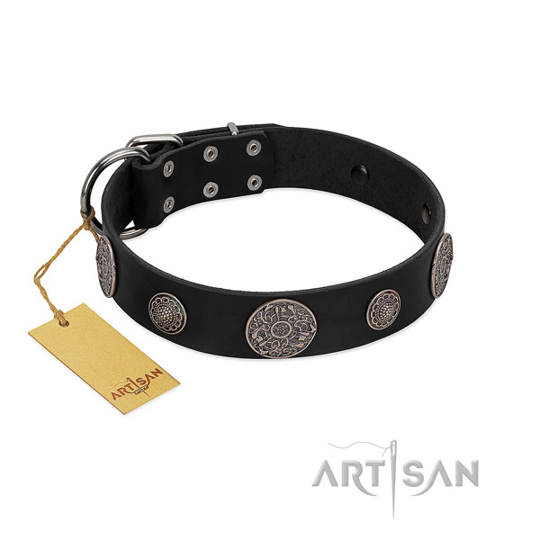 Decorated black leather dog collar for everyday activities