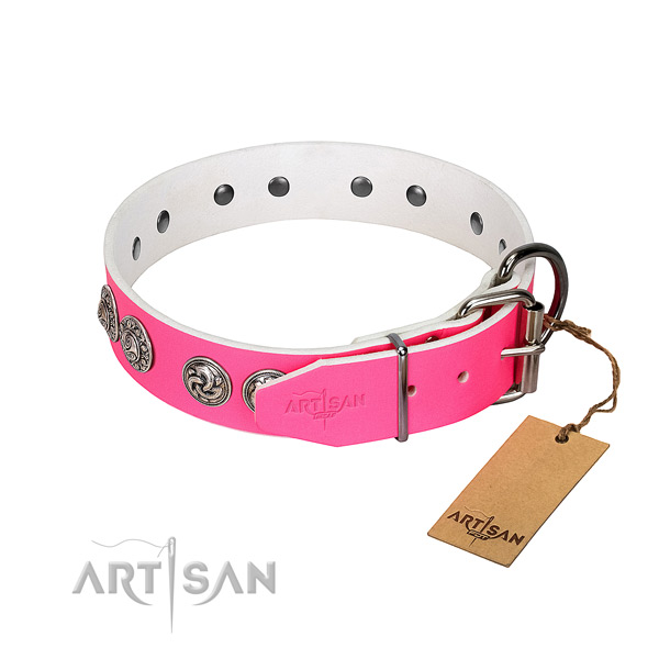 Captivating leather dog collar of remarkable design