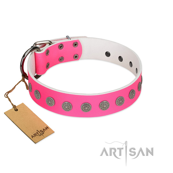 Fabulous FDT Artisan leather dog collar