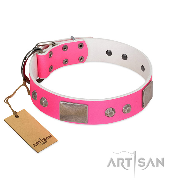 Fabulous FDT Artisan leather dog collar