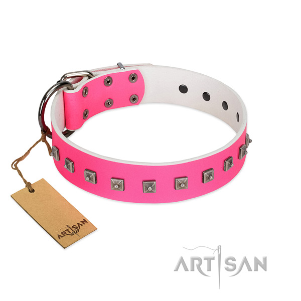 Fabulous FDT Artisan leather dog collar