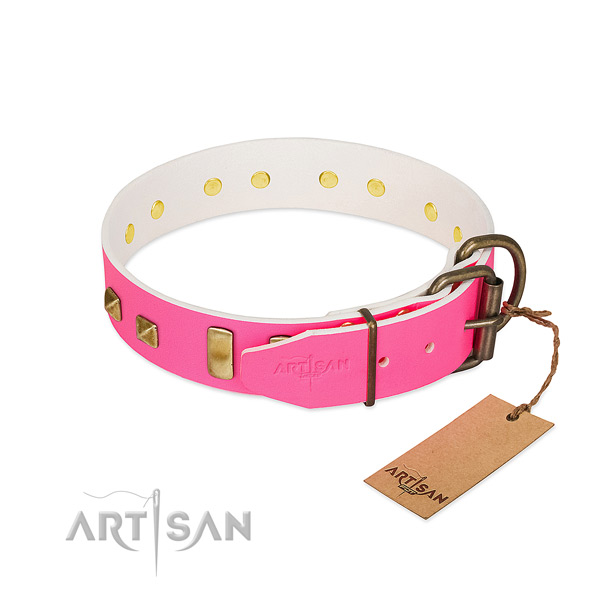 Designer Dog Collar Equipped with Rustproof Hardware