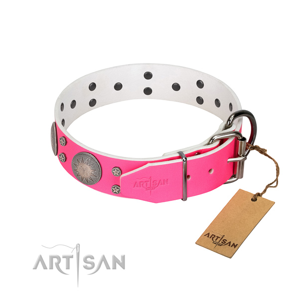 Studded leather dog collar with silver-like plated fittings