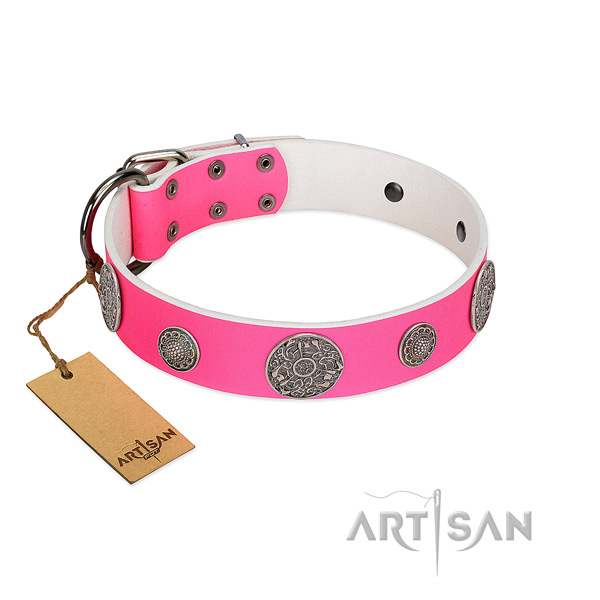 Elegant FDT Artisan leather dog collar for modern look