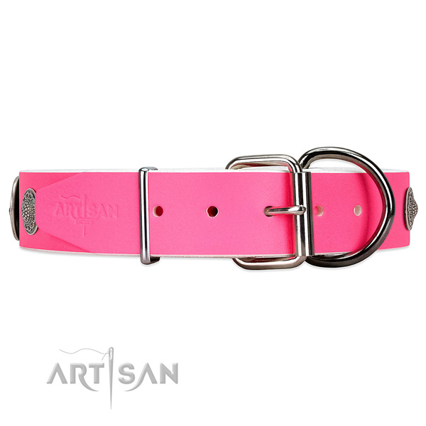 Leather dog collar with silver-like hardware