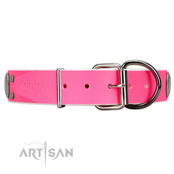 Studded leather dog collar with super reliable buckle