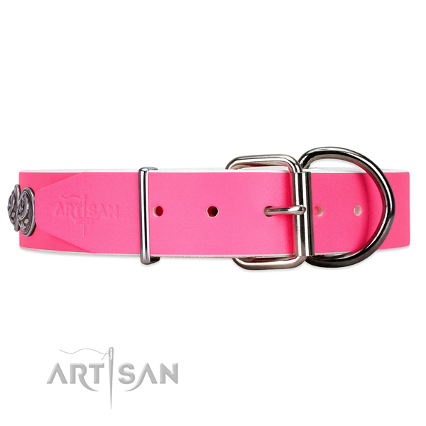 Leather dog collar with chrome plated hardware