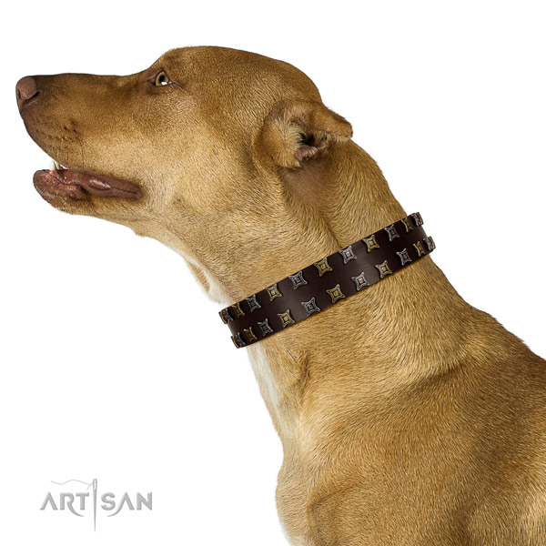 Dependable Pitbull Artisan leather collar for pleasant pastime