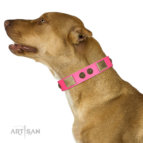 Pink Leather Pitbull Collar for Perfect Look