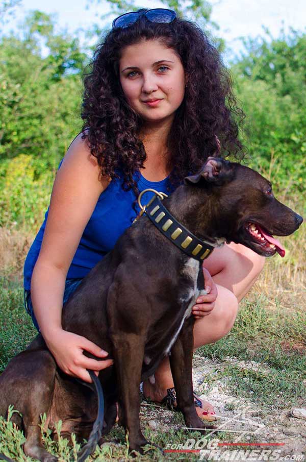 Soft leather decorated collar for Pitbull