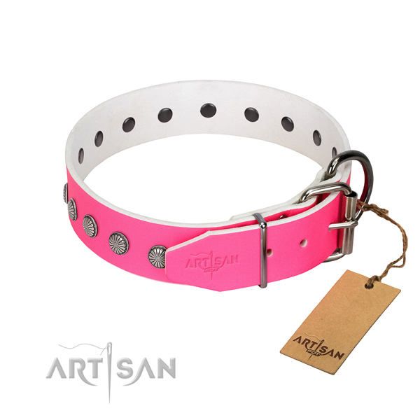 Studded leather dog collar with silver-like plated fittings