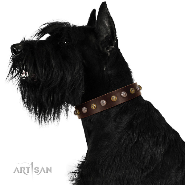 Leather Riesenschnauzer Collar with Stylish Embellishments