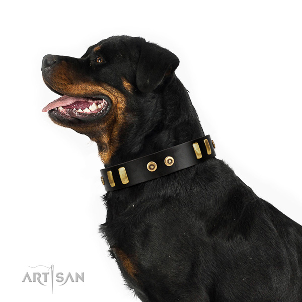 Extraordinary walking black leather Rottweiler collar with stars and ovals