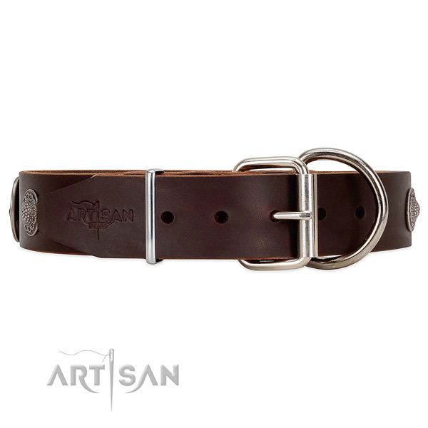 Unique style brown leather dog collar with tough fittings