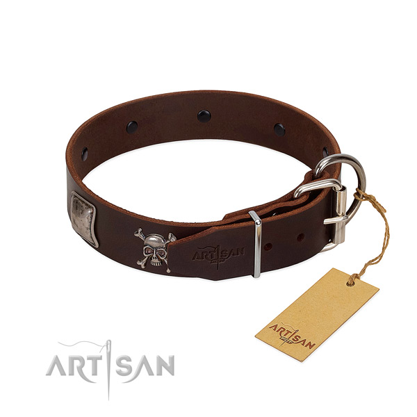 Designer Dog Collar is Safe to Wear