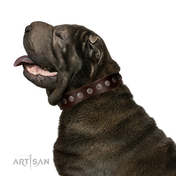 Extraordinary walking brown leather Shar Pei collar with chic decorations