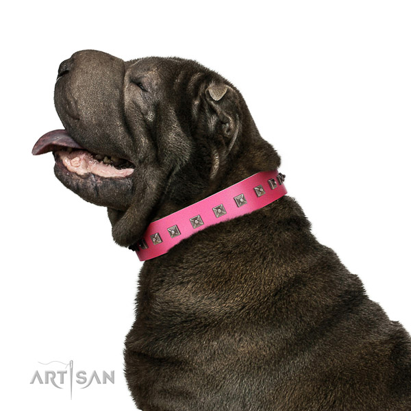 Walking top-notch quality walking leather Shar Pei collar