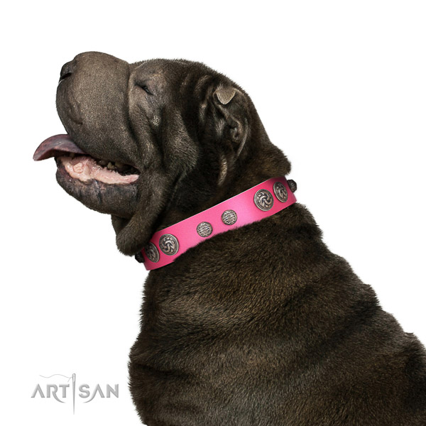 Delux walking pink leather Shar Pei collar with charming decorations