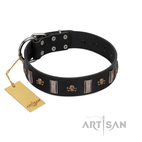 Fabulous FDT Artisan leather dog collar