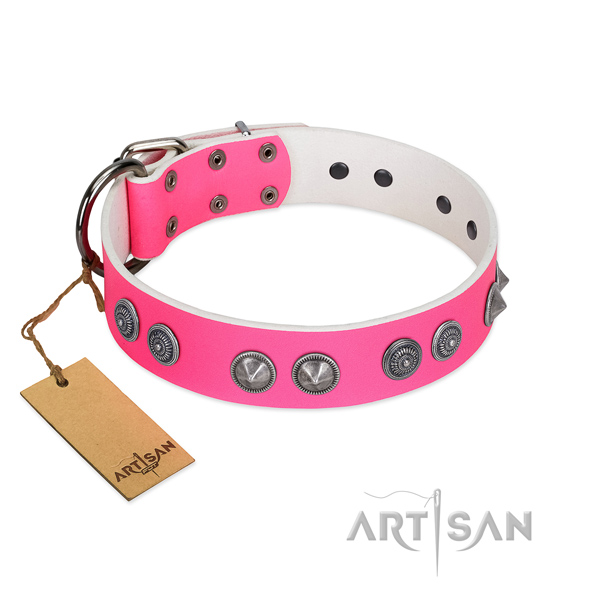 Fabulous FDT Artisan leather dog collar