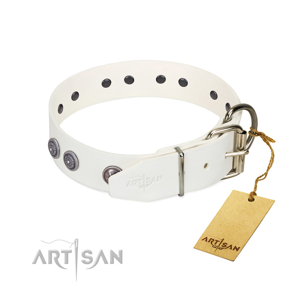 Soft leather dog collar for comfortable wear