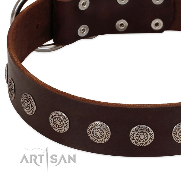 Brown leather dog collar with vintage decorations