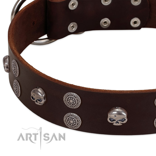 Brown leather dog collar with vintage decorations