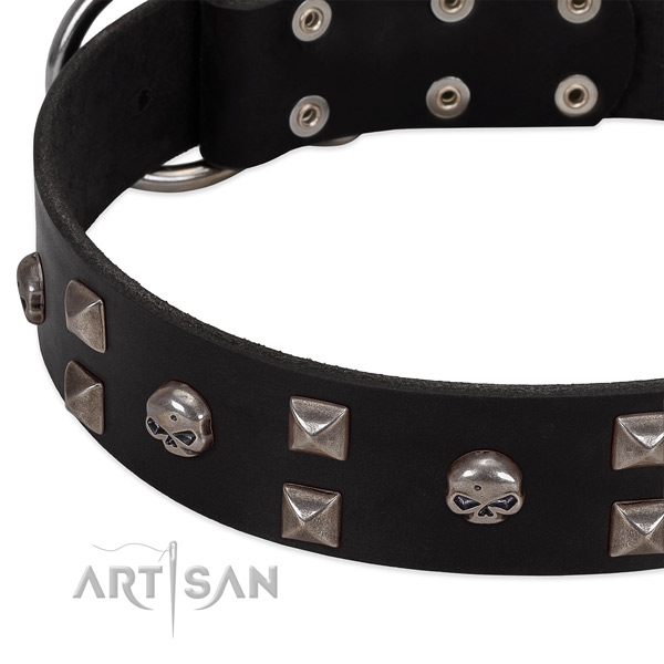 Black leather dog collar with modern decorations