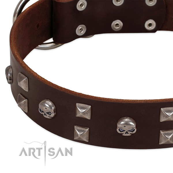 Brown handmade leather dog collar with stylish decorations