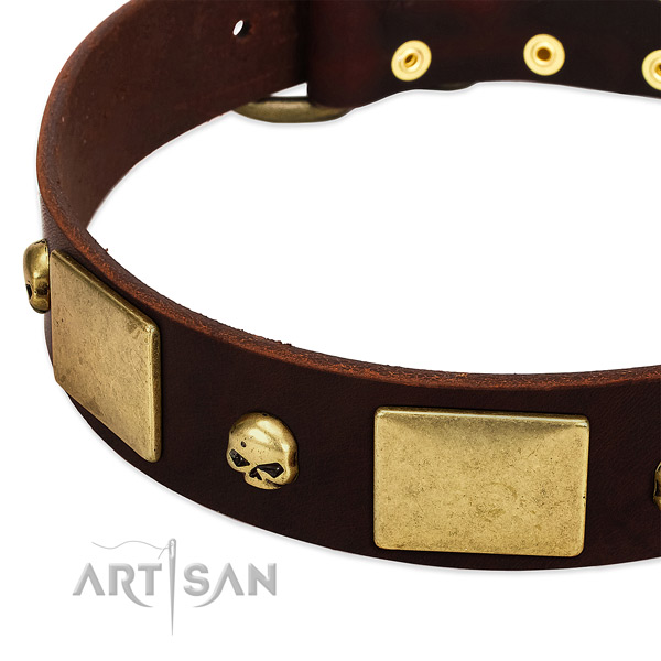 Premium Quality Leather Dog Collar with Handset Skulls and Plates