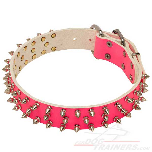 Bright Pink Collar with Nickel Spikes for Cane Corso