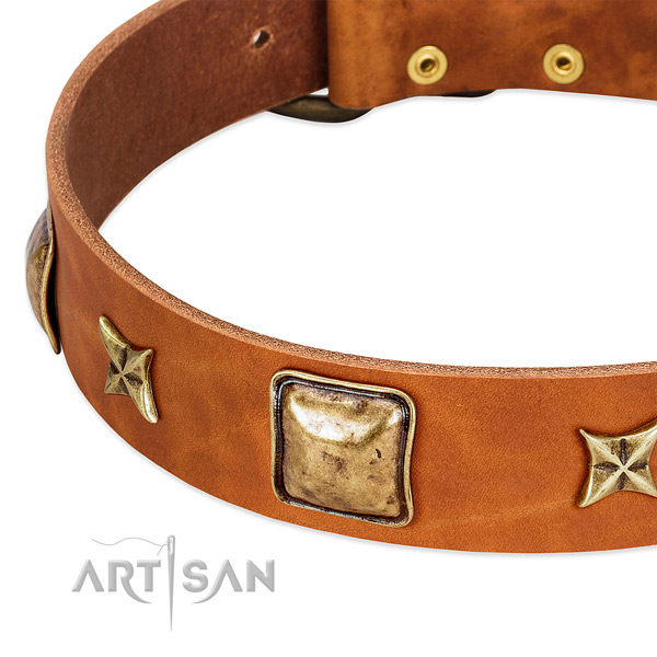 Old bronze-like stars and squares on tan leather FDT Artisan collar