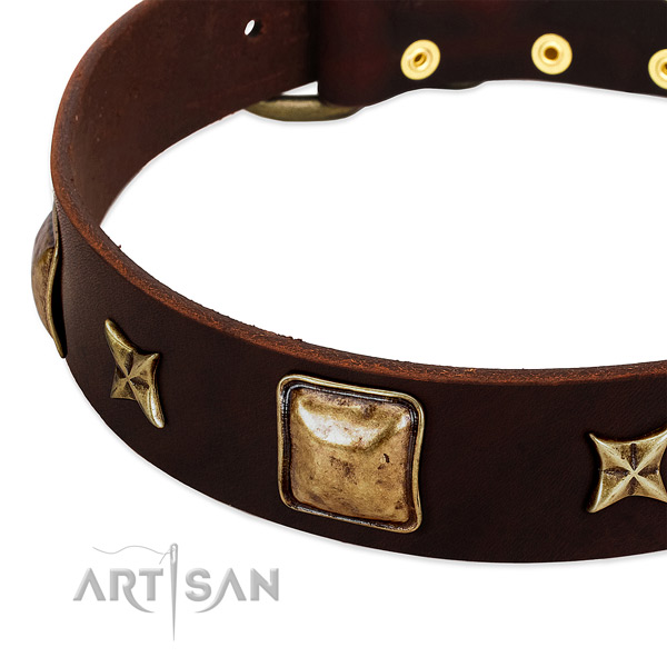 Old bronze-like squares and stars on brown leather FDT Artisan collar