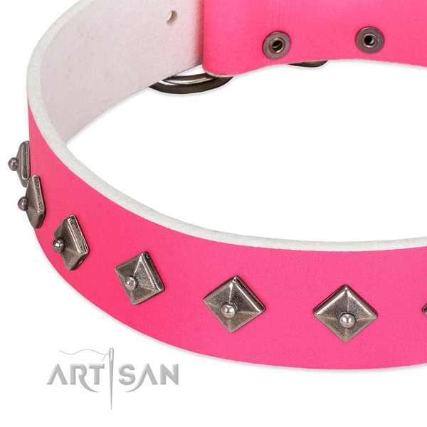 FDT Artisan Leather Dog Collar for Walking in Style