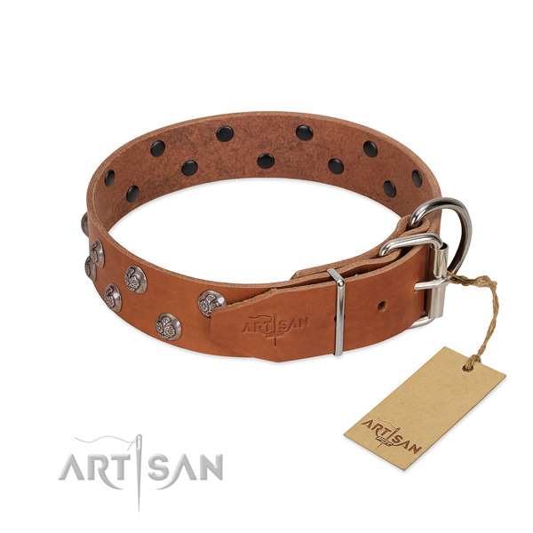 Tan leather FDT Artisan dog collar with chrome-plated fittings