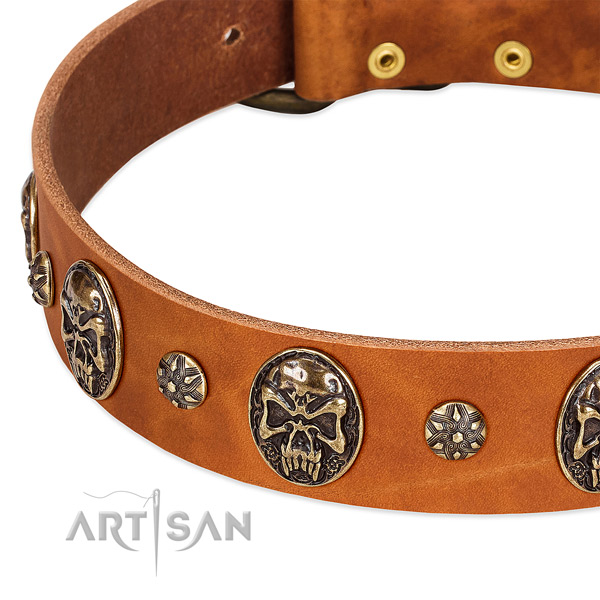 Old bronze-like studs and medallions on tan leather FDT Artisan collar