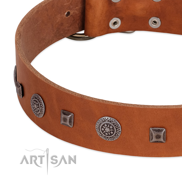 Tan leather dog collar with vintage decorations