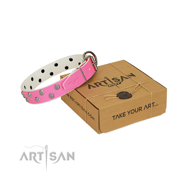 FDT Artisan leather dog collar for comfortable walks