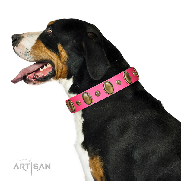 Swiss Mountain Dog Artisan pink leather collar for elegant look