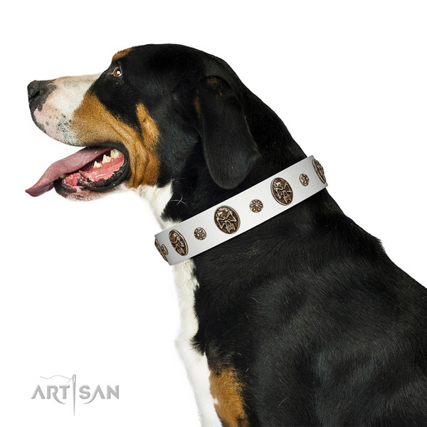 Walking leather Swiss Mountain Dog collar for everyday use