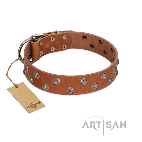 High-quality leather dog collar with 2 rows of studs