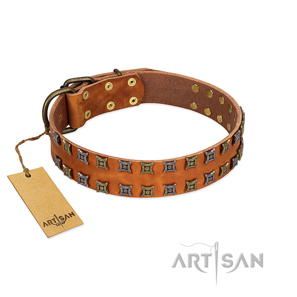 Designer Artisan leather dog collar made of quality materials