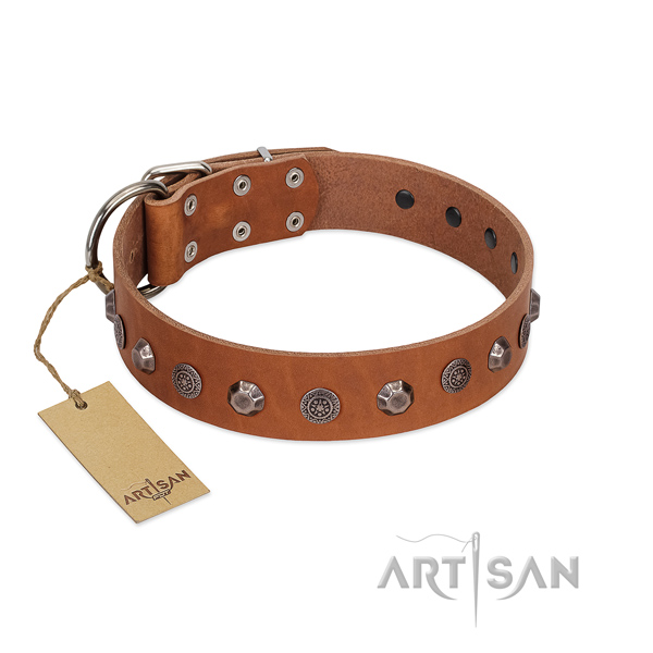 Fabulous FDT Artisan leather dog collar