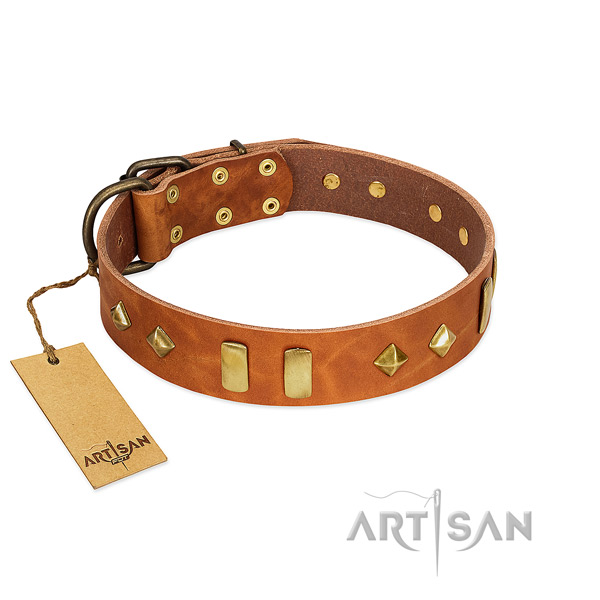 Wonderful FDT Artisan Dog Collar for Daily Use