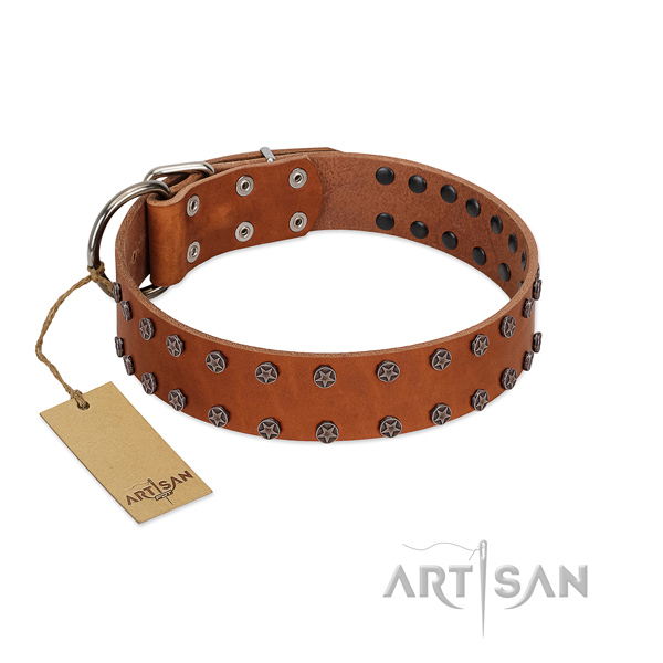 Fabulous FDT Artisan leather dog collar