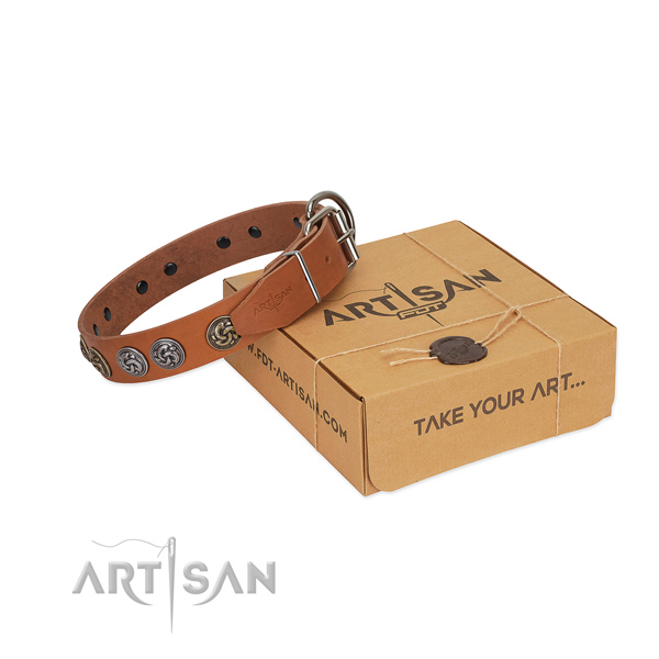 FDT Artisan leather dog collar for walks